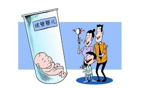 关于私人代怀公司